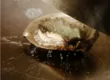 六本木モンシェルトントン 5